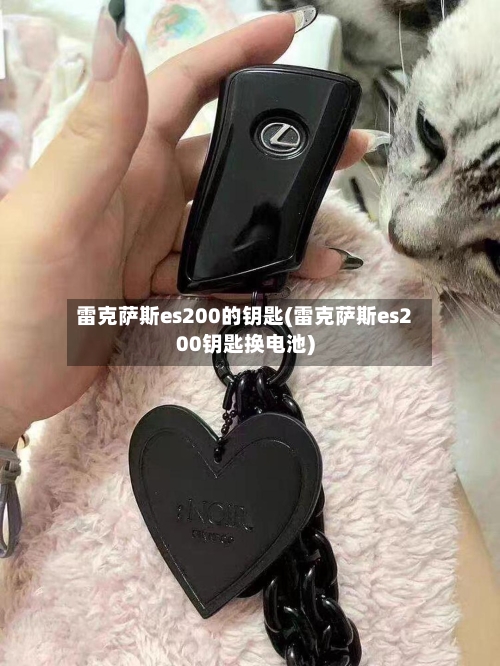 雷克萨斯es200的钥匙(雷克萨斯es200钥匙换电池)-第1张图片