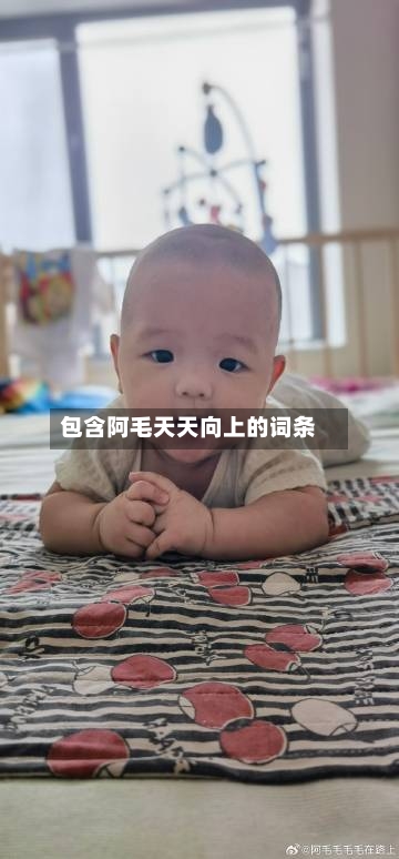 包含阿毛天天向上的词条-第3张图片