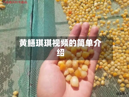 黄鳝琪琪视频的简单介绍-第2张图片