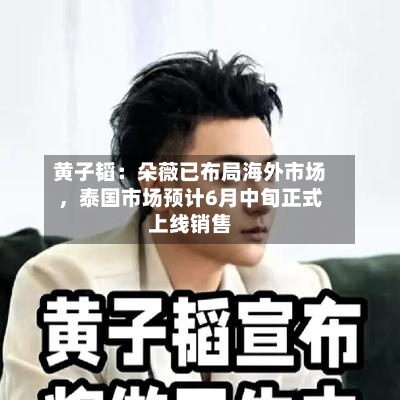 黄子韬：朵薇已布局海外市场，泰国市场预计6月中旬正式上线销售-第2张图片