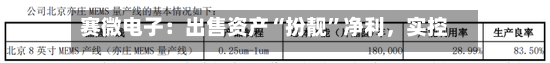 赛微电子：出售资产“扮靓	”净利，实控人拟套现逾11亿元-第2张图片