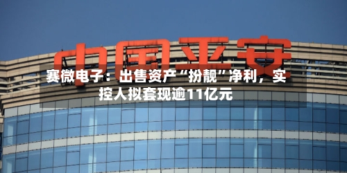 赛微电子：出售资产“扮靓”净利，实控人拟套现逾11亿元-第1张图片