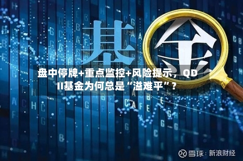 盘中停牌+重点监控+风险提示，QDII基金为何总是“溢难平	”？-第1张图片