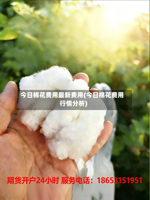 今日棉花费用最新费用(今日棉花费用行情分析)-第3张图片