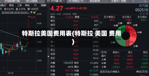 特斯拉美国费用表(特斯拉 美国 费用)-第2张图片