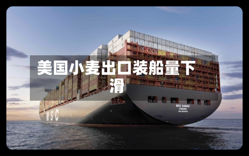 美国小麦出口装船量下滑-第1张图片