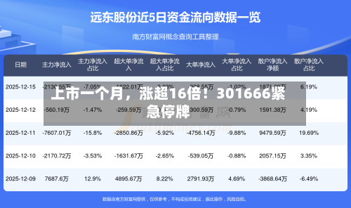 上市一个月，涨超16倍！301666紧急停牌-第2张图片