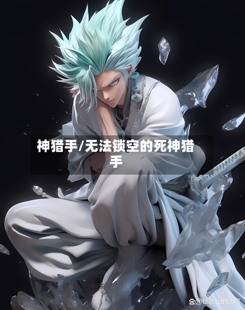 神猎手/无法锁空的死神猎手-第1张图片