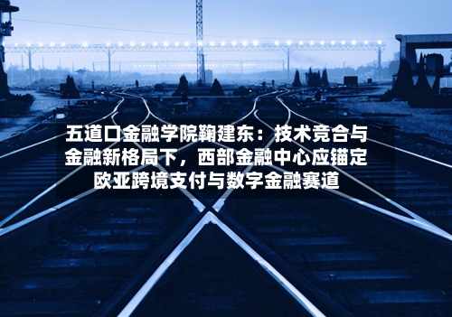 五道口金融学院鞠建东：技术竞合与金融新格局下，西部金融中心应锚定欧亚跨境支付与数字金融赛道-第3张图片