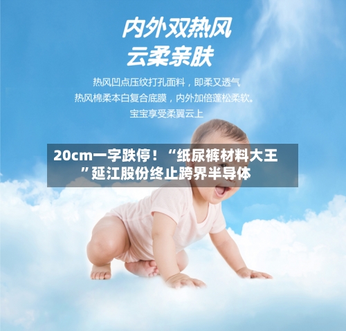 20cm一字跌停！“纸尿裤材料大王”延江股份终止跨界半导体-第2张图片
