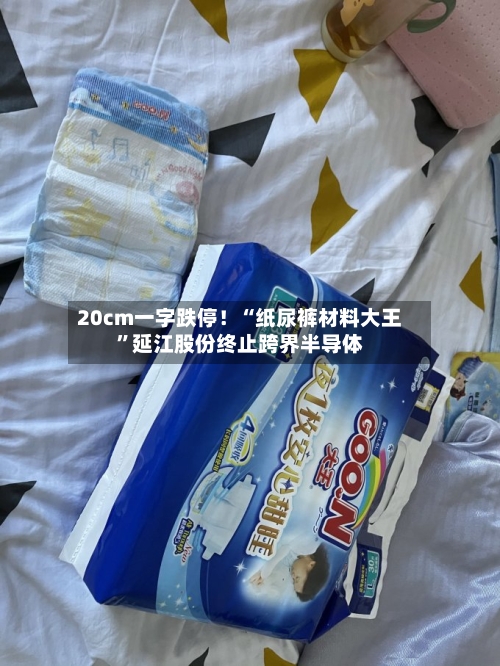 20cm一字跌停！“纸尿裤材料大王”延江股份终止跨界半导体-第3张图片