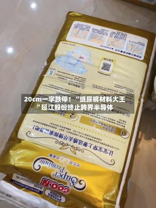 20cm一字跌停！“纸尿裤材料大王	”延江股份终止跨界半导体-第1张图片