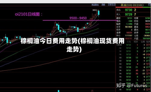 棕榈油今日费用走势(棕榈油现货费用走势)-第2张图片