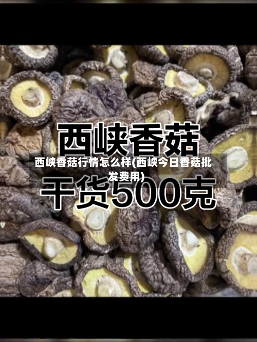 西峡香菇行情怎么样(西峡今日香菇批发费用)-第1张图片