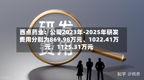 西点药业：公司2023年-2025年研发费用分别为869.98万元、1022.41万元、1125.31万元-第1张图片