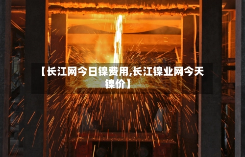 【长江网今日镍费用,长江镍业网今天镍价】-第2张图片