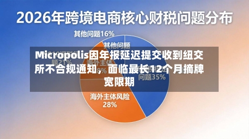 Micropolis因年报延迟提交收到纽交所不合规通知，面临最长12个月摘牌宽限期-第1张图片