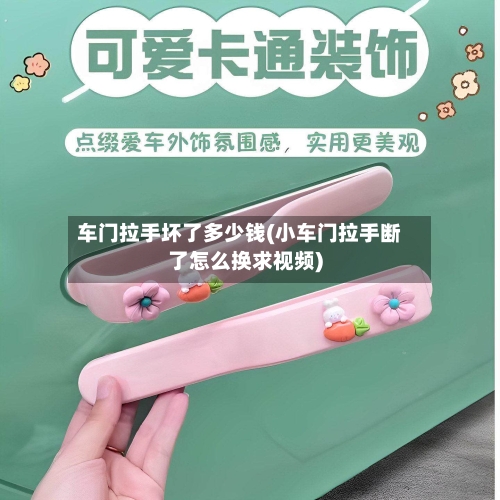 车门拉手坏了多少钱(小车门拉手断了怎么换求视频)-第1张图片
