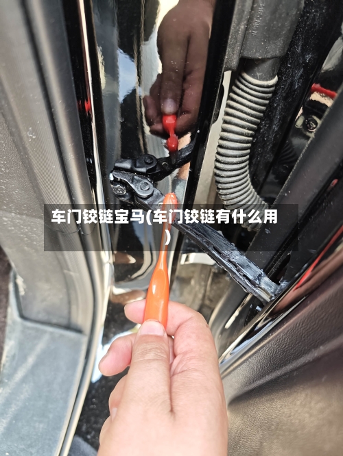 车门铰链宝马(车门铰链有什么用)-第1张图片
