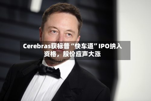 Cerebras获标普“快车道”IPO纳入资格，股价应声大涨-第3张图片