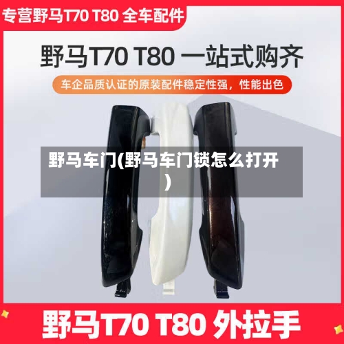 野马车门(野马车门锁怎么打开)-第1张图片