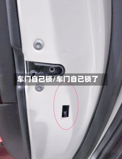车门自己锁/车门自己锁了-第3张图片