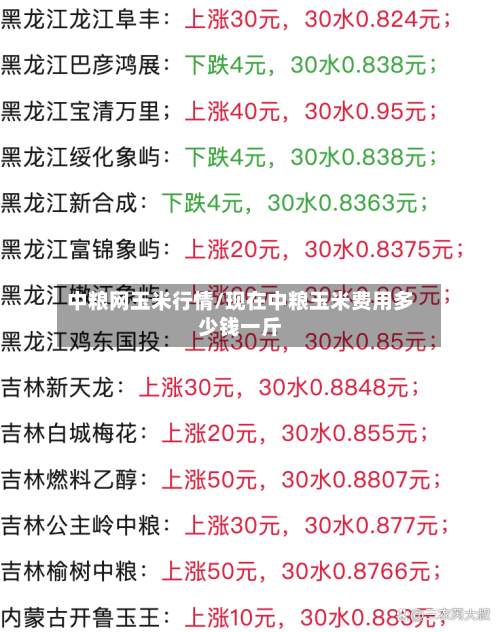 中粮网玉米行情/现在中粮玉米费用多少钱一斤-第2张图片