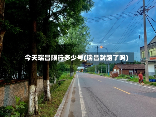 今天瑞昌限行多少号(瑞昌封路了吗)-第3张图片