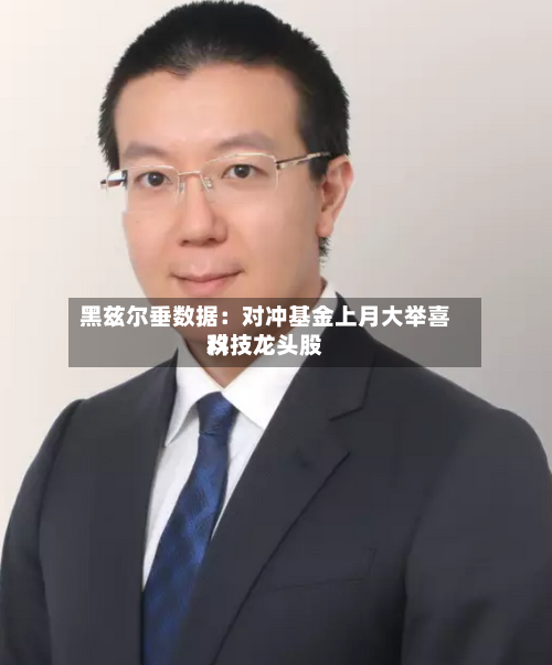 黑兹尔垂数据：对冲基金上月大举喜欢科技龙头股-第1张图片