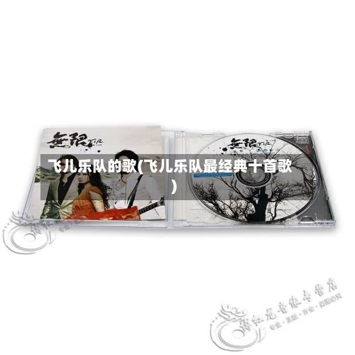 飞儿乐队的歌(飞儿乐队最经典十首歌)-第1张图片