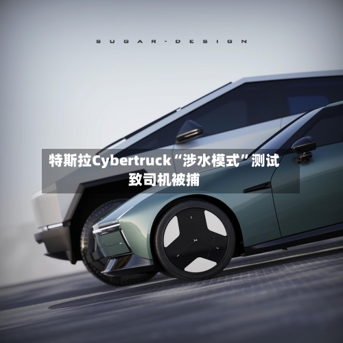 特斯拉Cybertruck“涉水模式	”测试致司机被捕-第1张图片