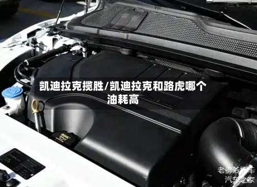 凯迪拉克揽胜/凯迪拉克和路虎哪个油耗高-第3张图片