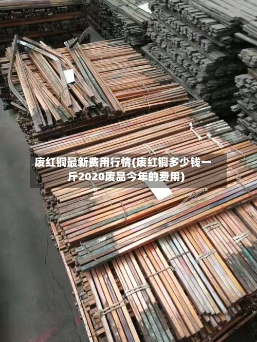 废红铜最新费用行情(废红铜多少钱一斤2020废品今年的费用)-第1张图片