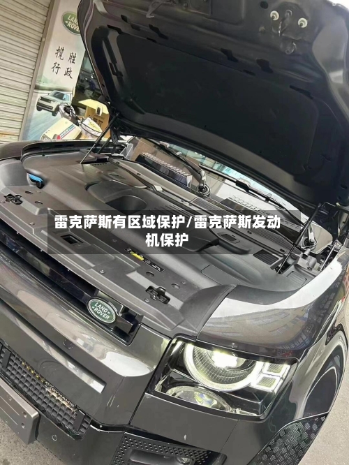 雷克萨斯有区域保护/雷克萨斯发动机保护-第1张图片