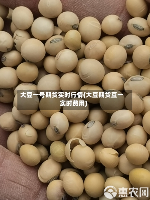 大豆一号期货实时行情(大豆期货豆一实时费用)-第1张图片