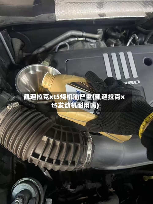 凯迪拉克xt5烧机油严重(凯迪拉克xt5发动机耐用吗)-第1张图片