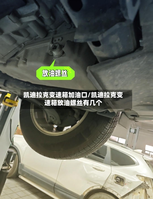凯迪拉克变速箱加油口/凯迪拉克变速箱放油螺丝有几个-第2张图片