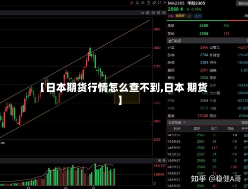 【日本期货行情怎么查不到,日本 期货】-第3张图片