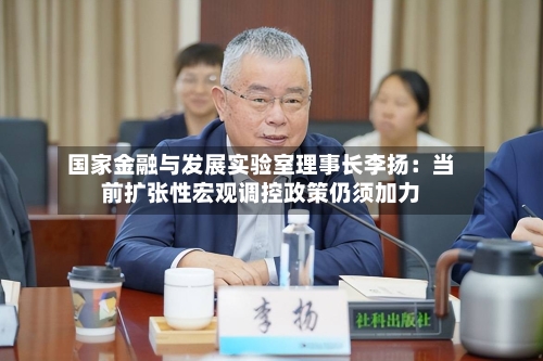 国家金融与发展实验室理事长李扬:当前扩张性宏观调控政策仍须加力-第2张图片