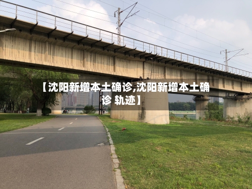 【沈阳新增本土确诊,沈阳新增本土确诊 轨迹】-第2张图片