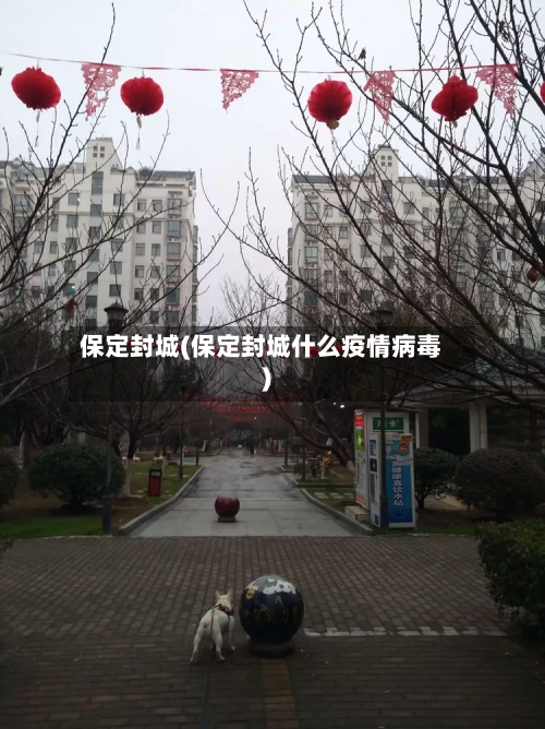 保定封城(保定封城什么疫情病毒)-第1张图片