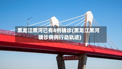 黑龙江黑河已有8例确诊(黑龙江黑河确诊病例行动轨迹)-第2张图片