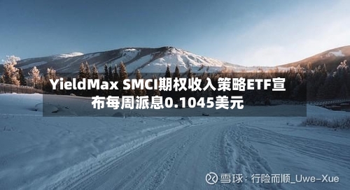 YieldMax SMCI期权收入策略ETF宣布每周派息0.1045美元-第1张图片