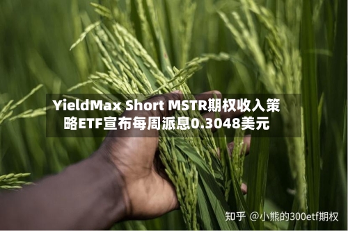 YieldMax Short MSTR期权收入策略ETF宣布每周派息0.3048美元-第2张图片