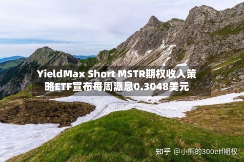 YieldMax Short MSTR期权收入策略ETF宣布每周派息0.3048美元-第3张图片