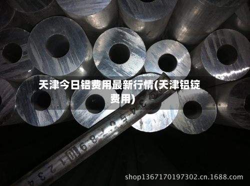 天津今日铝费用最新行情(天津铝锭费用)-第1张图片