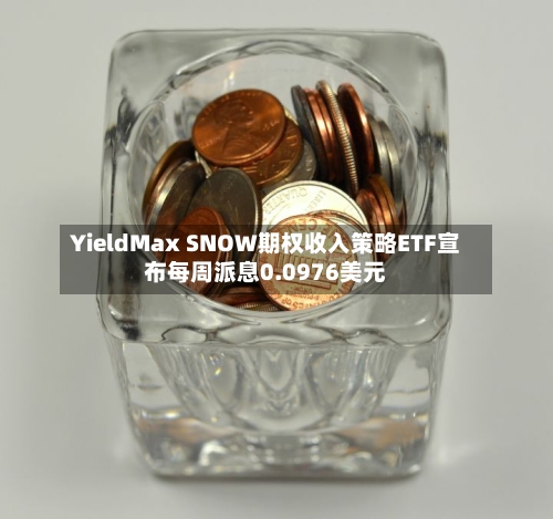 YieldMax SNOW期权收入策略ETF宣布每周派息0.0976美元-第3张图片