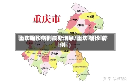 重庆确诊病例最新消息/重庆 确诊 病例-第2张图片